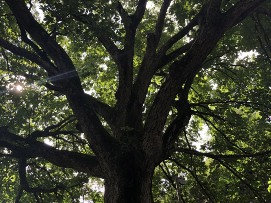小淵沢駅周辺コース